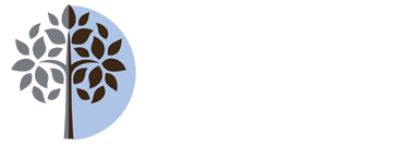 General Dentist near me